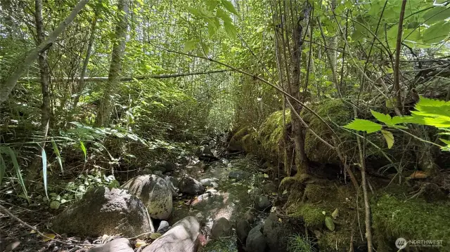 Creek boarding Eastern side of property