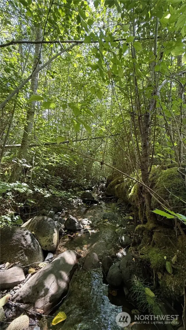Creek boarding Eastern side of property