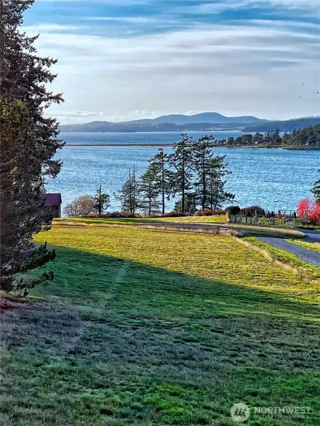 Looking west from the northern border