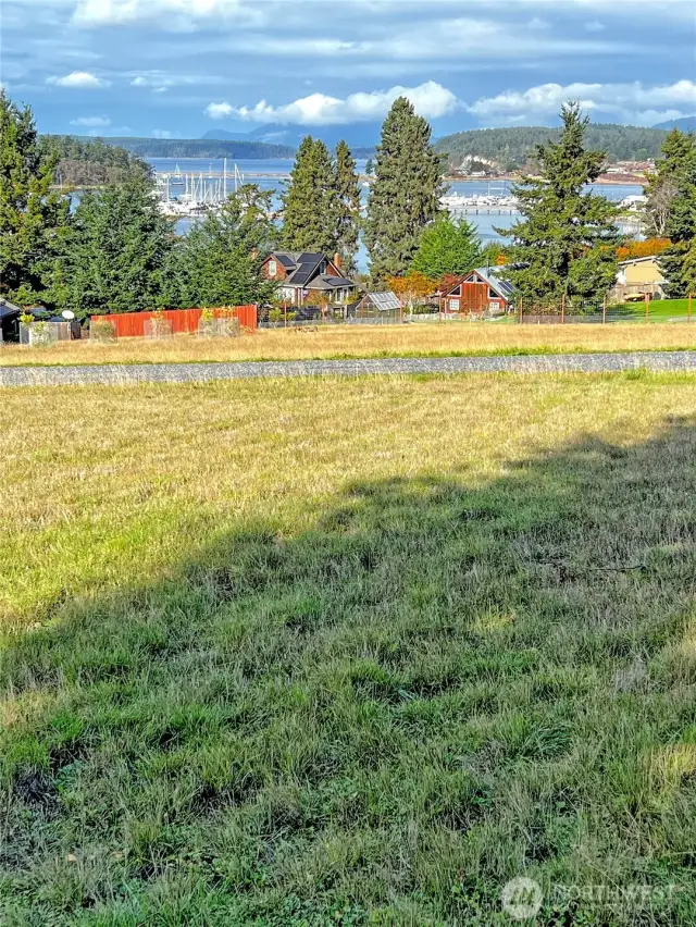 View to the north from lower portion of property