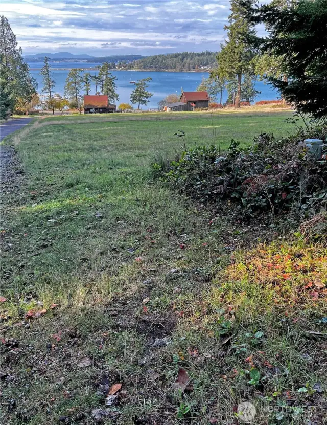 Southern border of property looking west