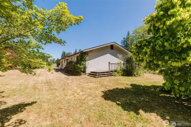 Another shot of the yard and the lawn