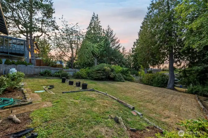 Expansive back yard