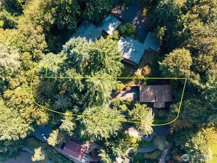 Privacy and trees surrounds this home