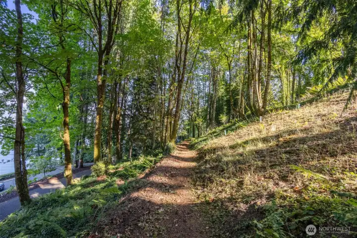 There is a little path to walk out to the other side of the property. Maybe an ADU could go here ?