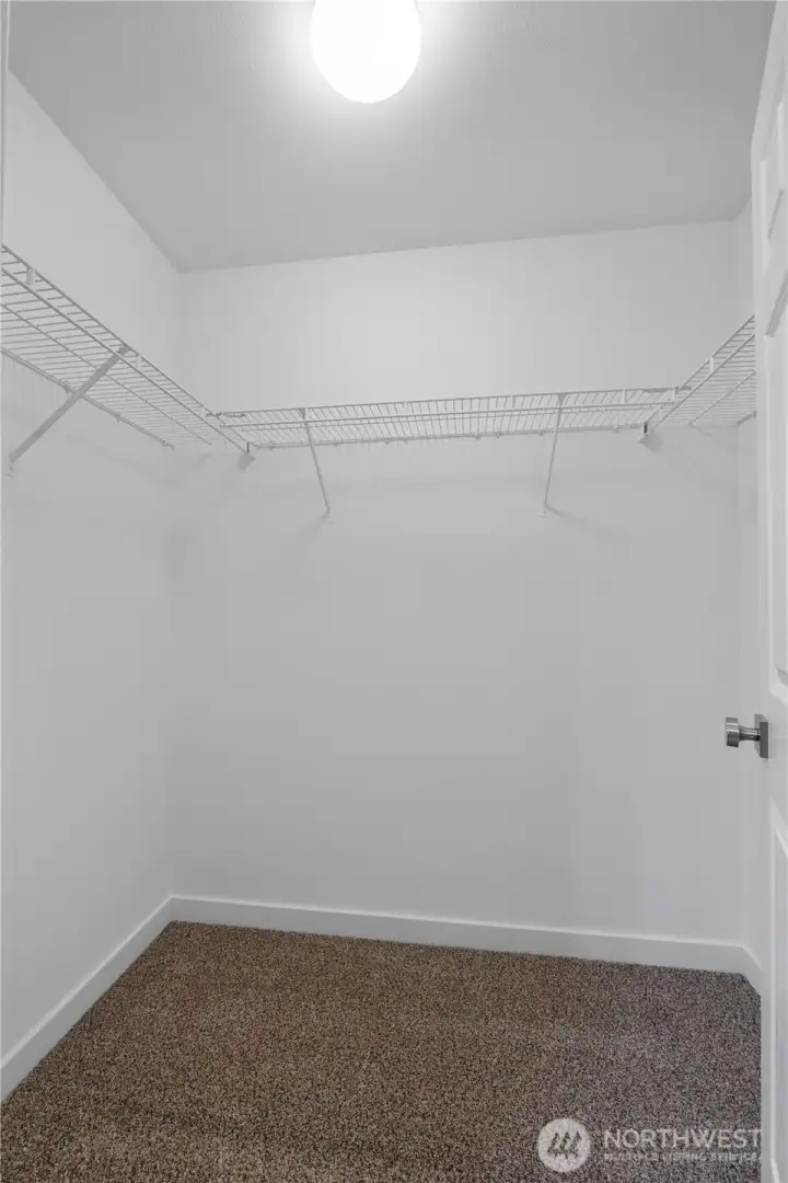 Spacious walk-in closet with built-in shelving and fresh carpet—offering plenty of room for organized storage.