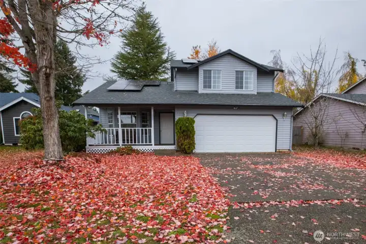 Front Room, Big tree in front!