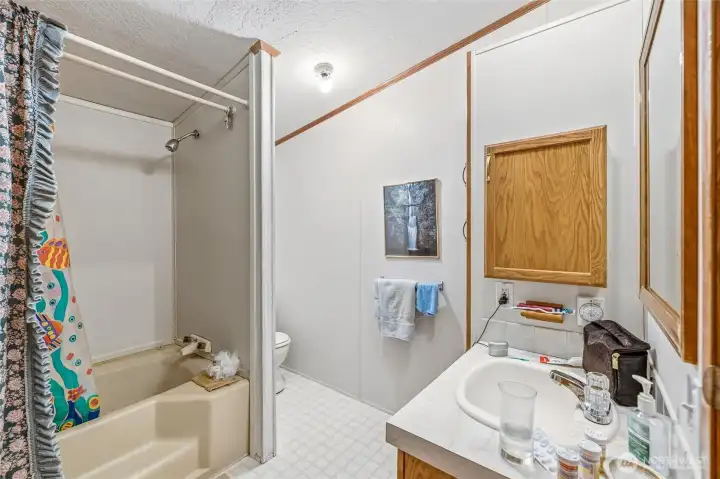 Primary bathroom.
