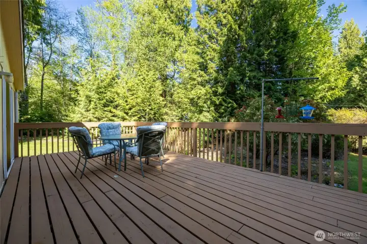 Huge deck!