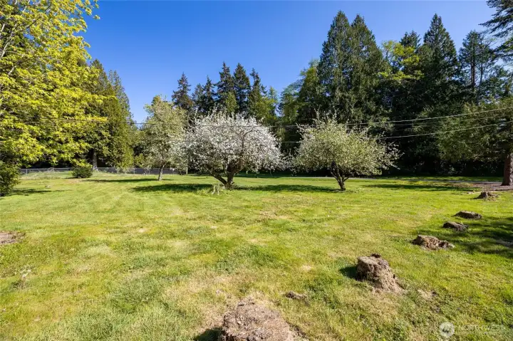 Views of your shy 1 acre.