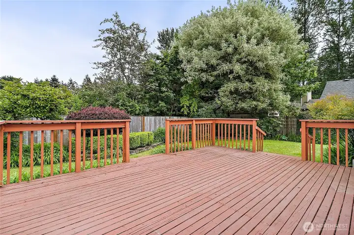 Back Yard Deck