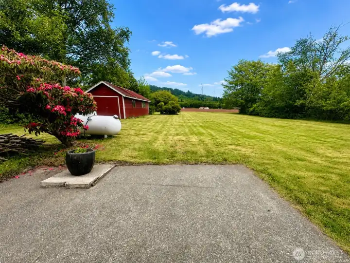 Backyard Backyard