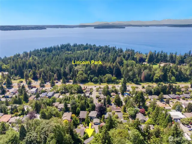 Great neighborhood so close to all that Lincoln Park offers, including beachside walks with views of the Fauntleroy Ferries, Colman Salt Water pool in the summers, and walking, running and biking trails, playfields and play grounds.