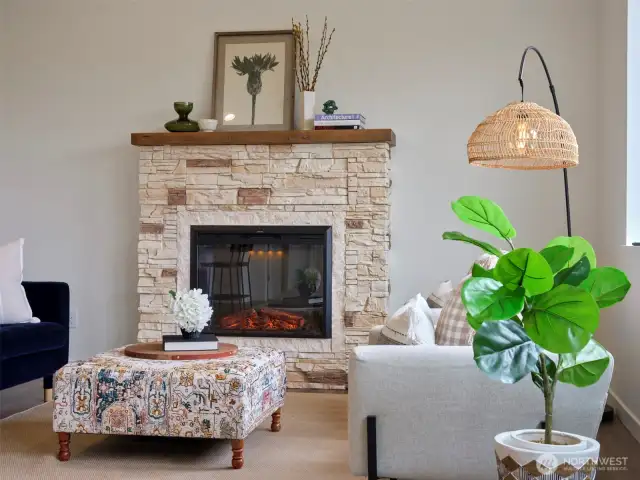 Living Room Fireplace