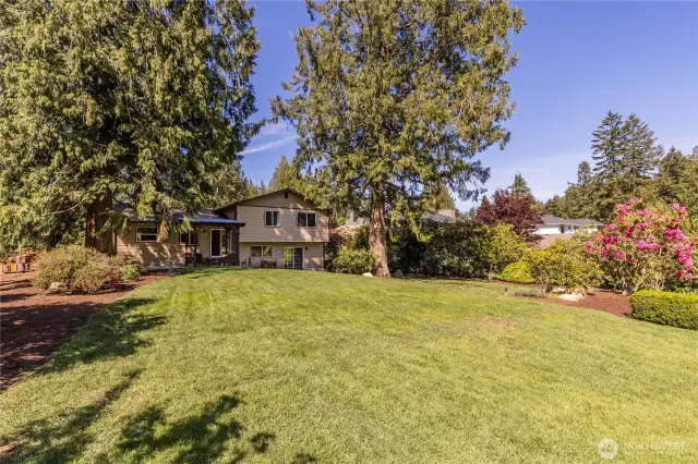 There's a great mix of sun and shade on this property