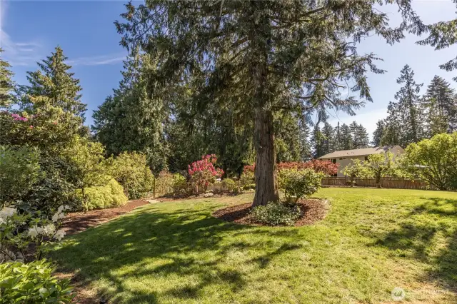 Large lawn area for playing or relaxing