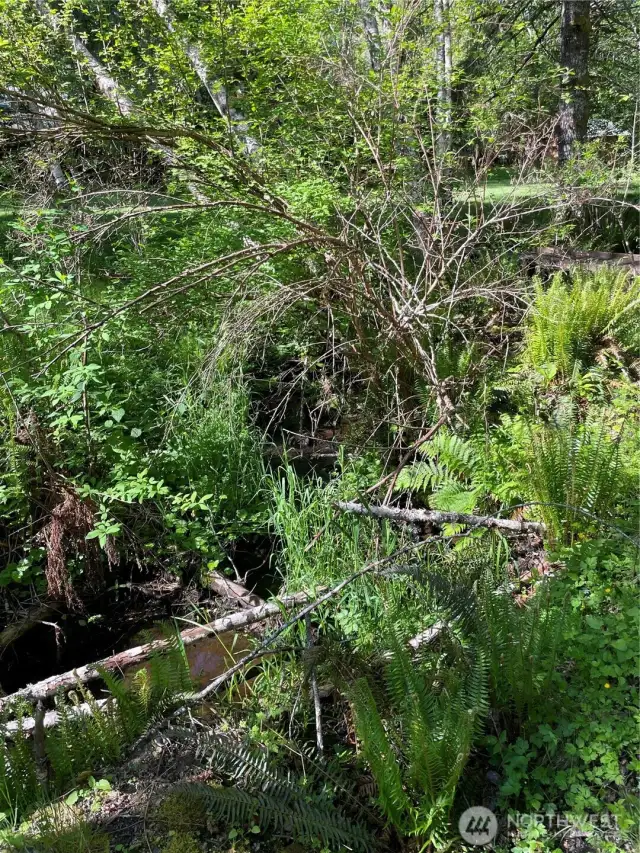 No Name Creek is part of a 25' greenbelt easement