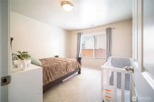 Downstairs bedroom