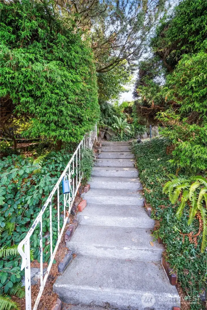 Walkway down to home. Pull back lots of landscape and clear out brush for cleaner look
