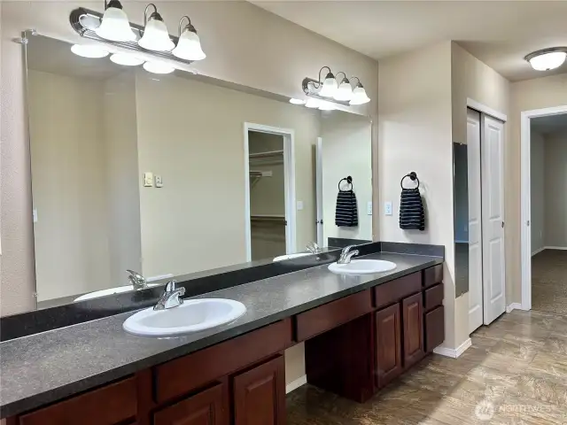 Additional closet Primary bathroom! never running out of space here!