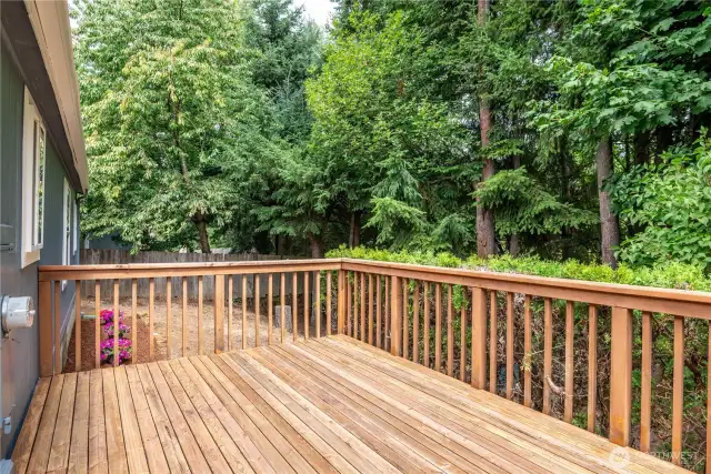 Large back deck