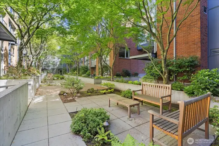 Courtyard between buildings
