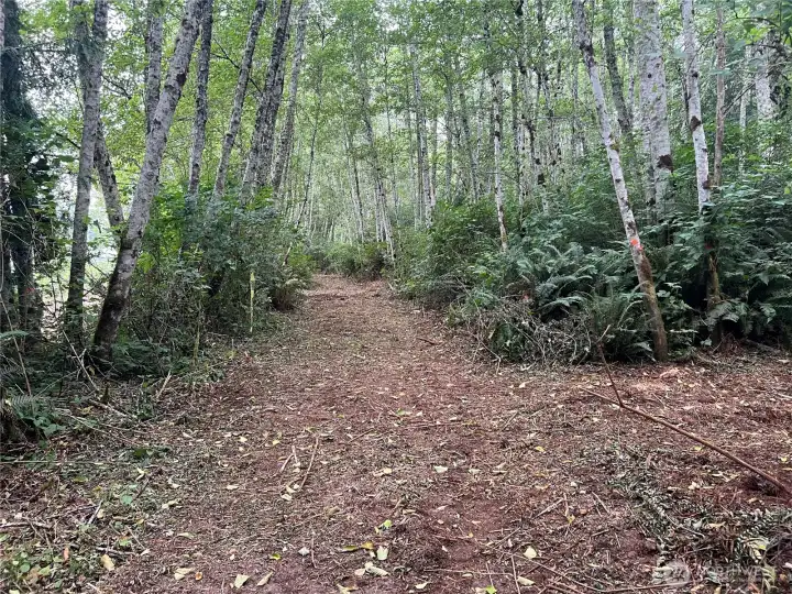 Easy access for viewing the site.