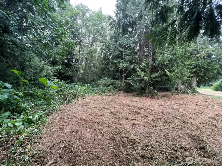Open area with alder forest to the East. Neighboring well for reference & underground power, just across the road.