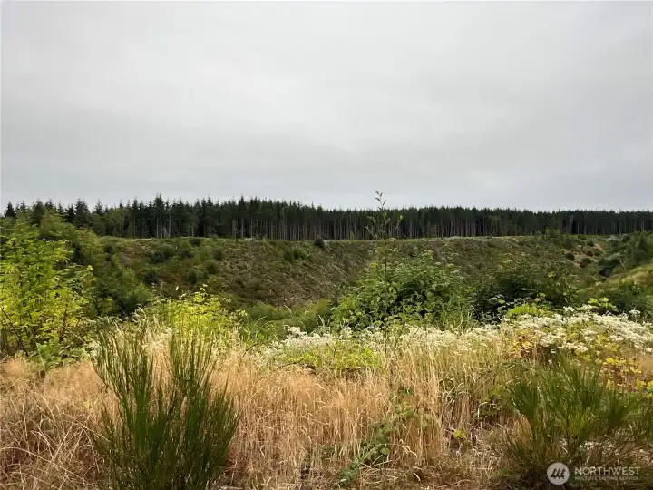 View to the East from the ridge top.