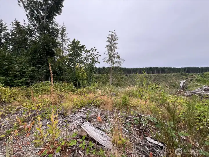 View to the East from the ridgetop.