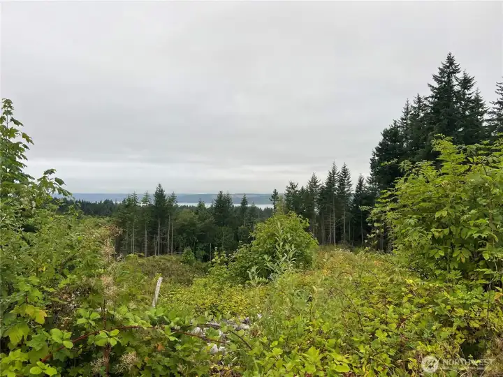 View to the SW from the ridgetop.