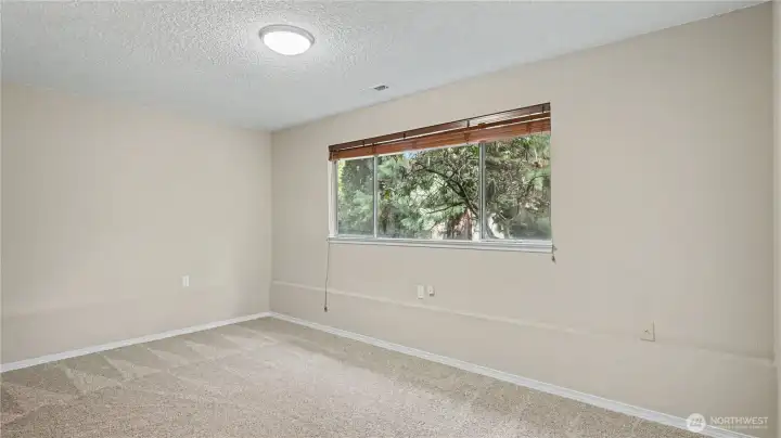 Second downstairs guest bedroom.