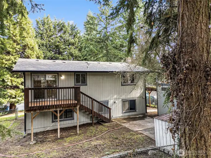 The perfect spot to unwind and enjoy the serene trees.