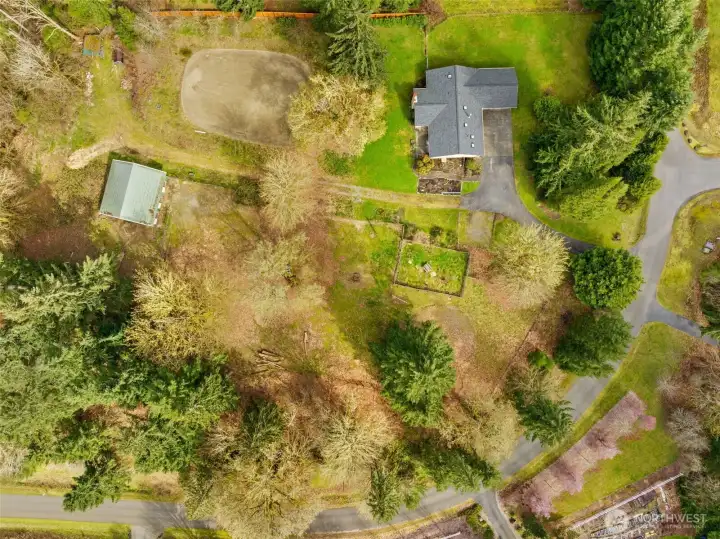 Mature trees surround for peace and privacy Mature trees surround for peace and privacy