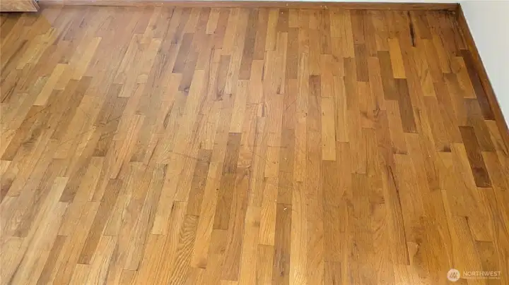 Hardwoods that are under the carpet