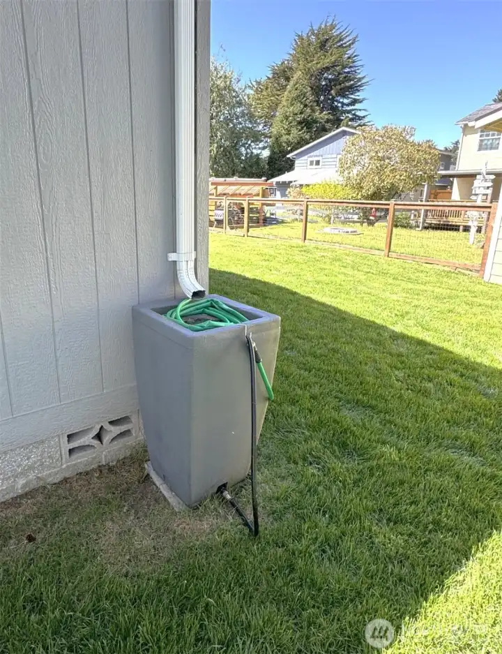 Rain Barrel Watering