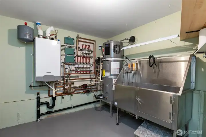 Lower level- Utility room with professional dog washing station