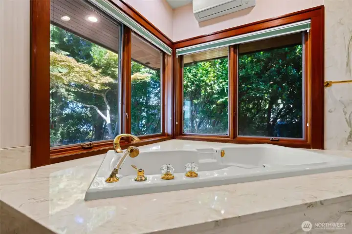 Soaking tub with a view Soaking tub with a view