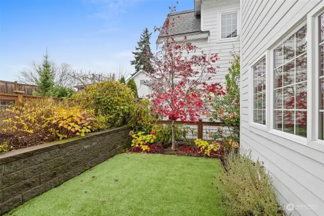 Lovely garden space that is easy to maintain. This space is also fenced making it secure for little ones or pets.