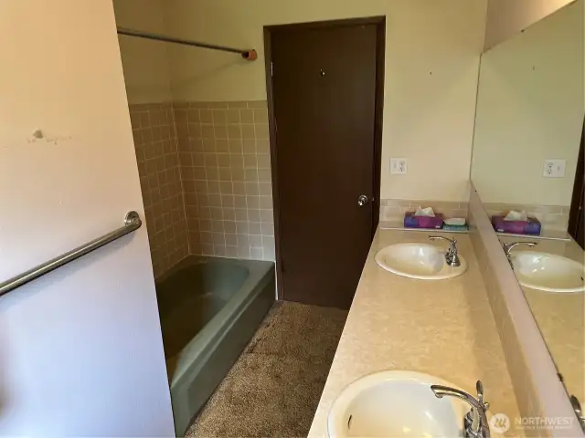 Double vanity sinks