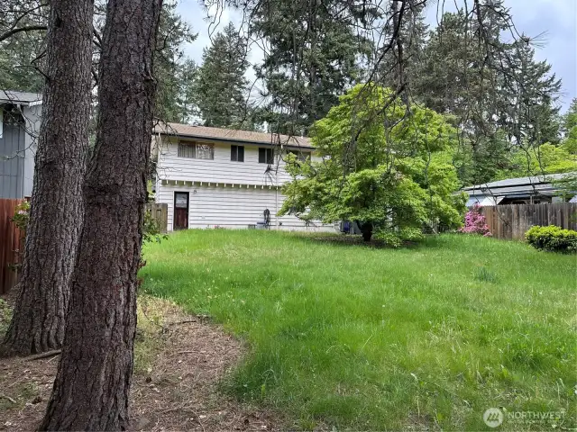 Huge backyard for further developing or entertaining