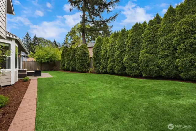 Beautiful and fully fenced, sun drenched + low maintenance yard.