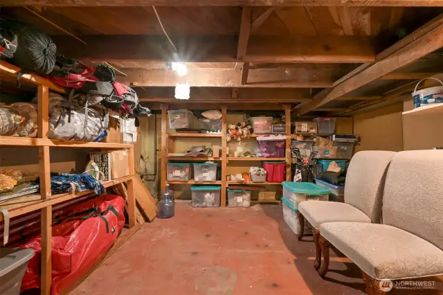 Storage & Utility room in the unfinished basement!