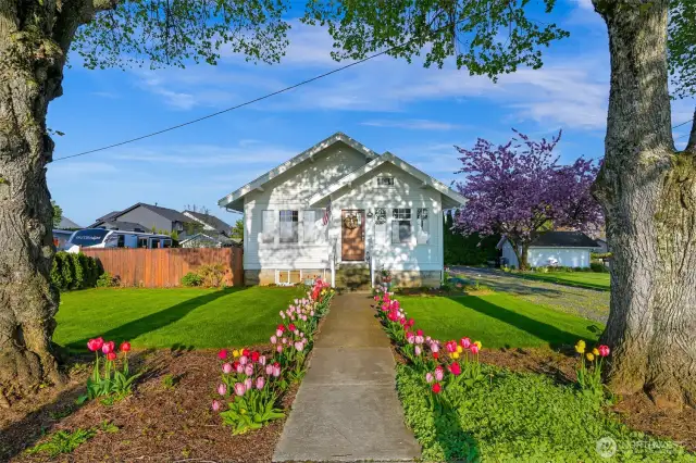 Spring view of the home with the tulips & cherry blossoms in bloom!