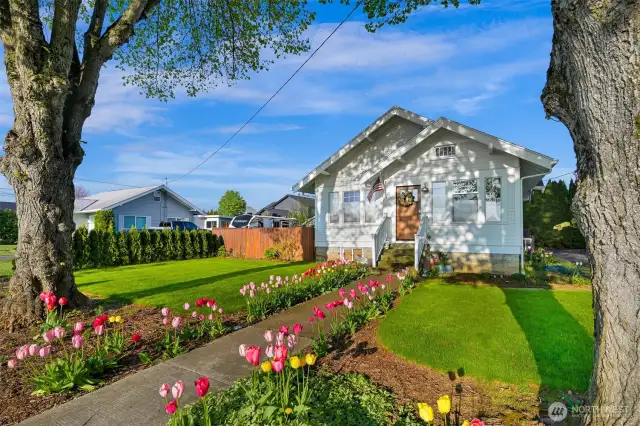 Spring view of the home with the tulips & cherry blossoms in bloom!
