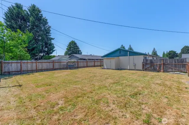 Fenced Yard