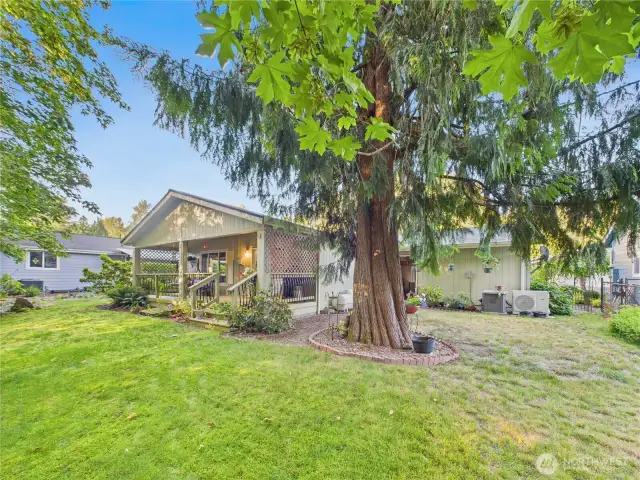 This easy to maintain yard has something for everyone.