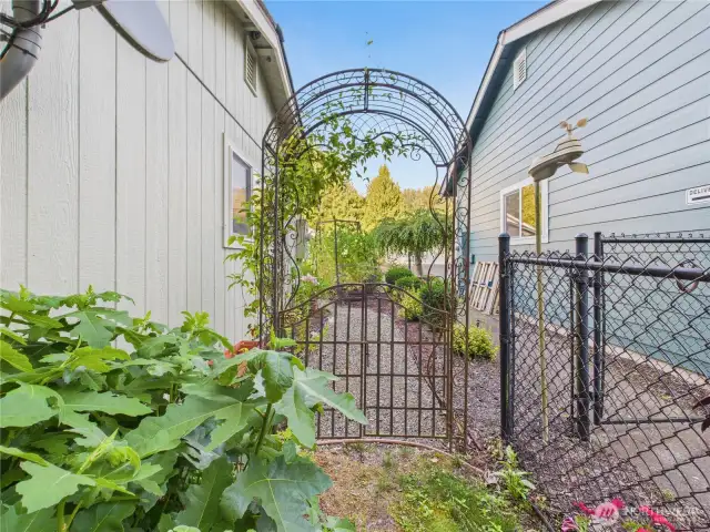 There are so much thought and details in this yard. It is a must see.