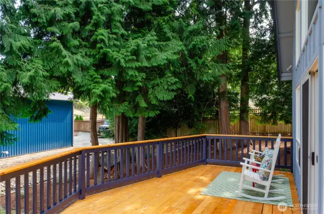 New Deck