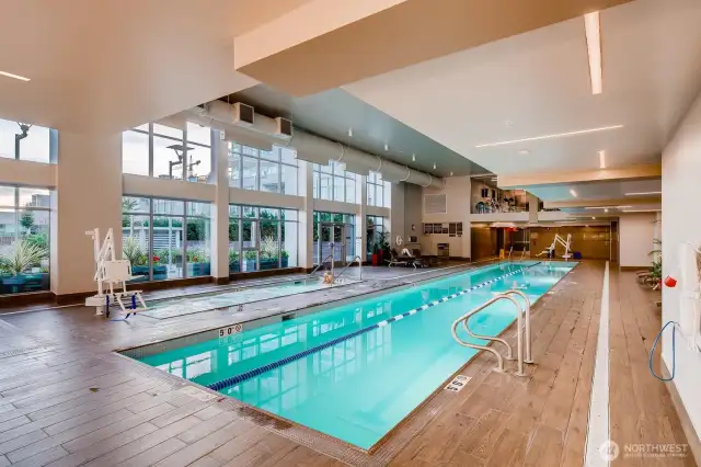 Olympic lap pool